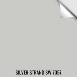 sherwin williams paint sample color Silver Strand